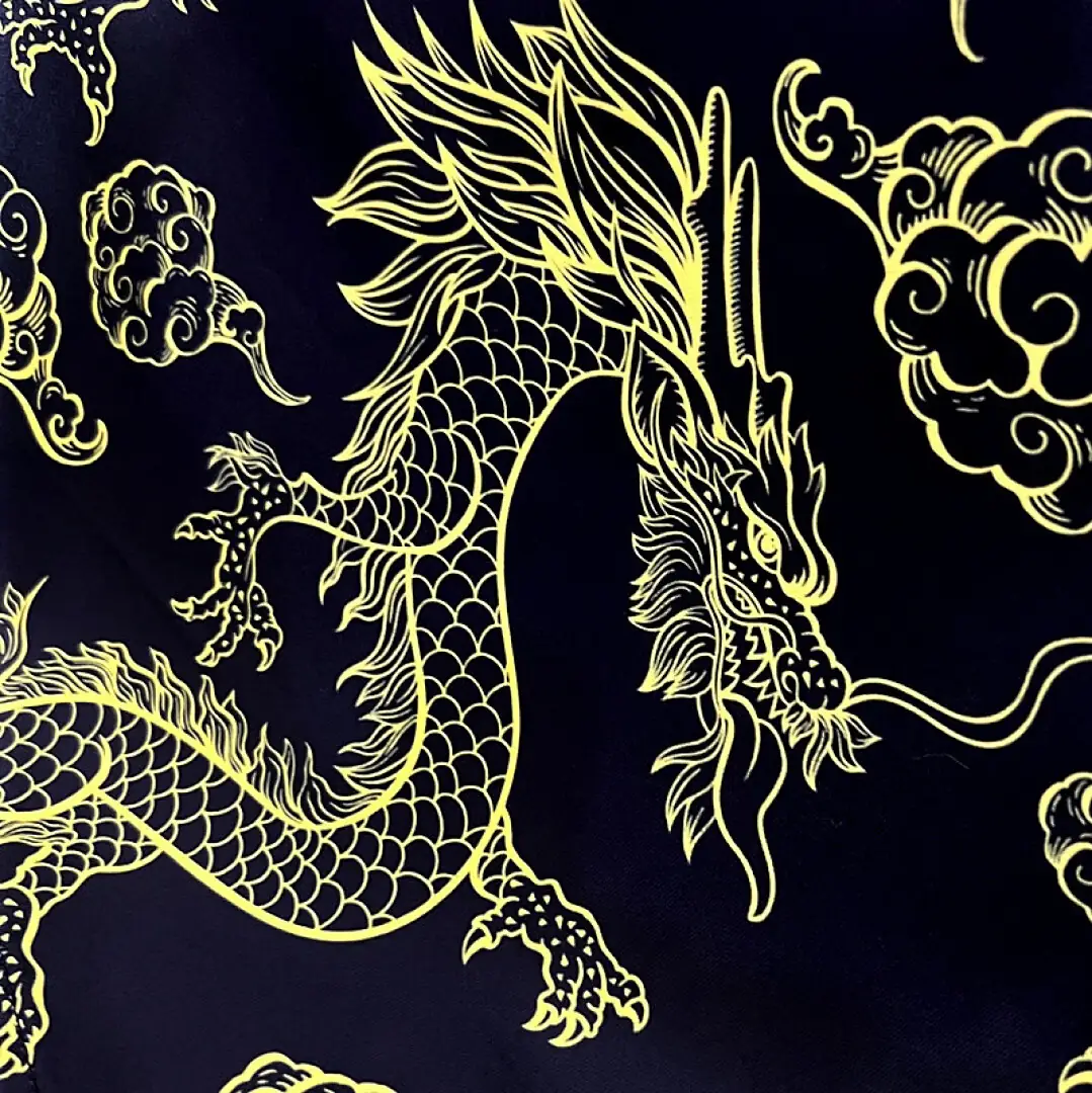 2324 Chinese Dragon S Xxl Maillot Domicile miniature 2