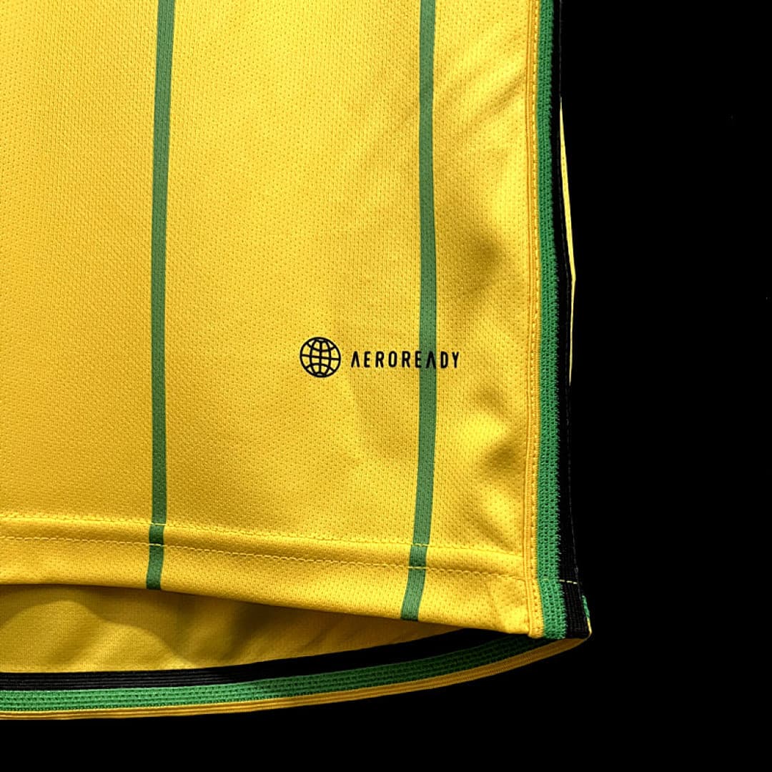 2324 Jamaica Maillot Domicile miniature 4
