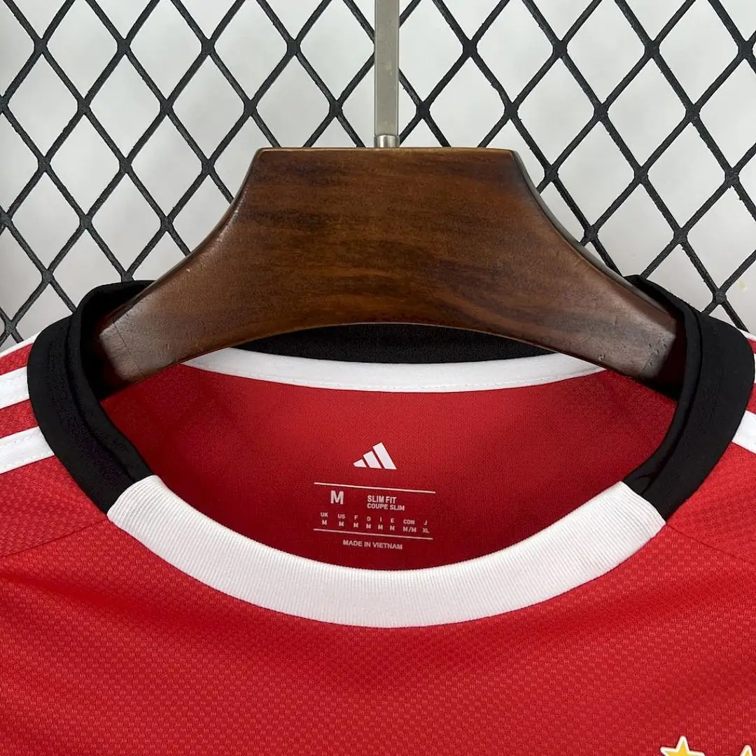Benfica Maillot Domicile Manches Longues miniature 2