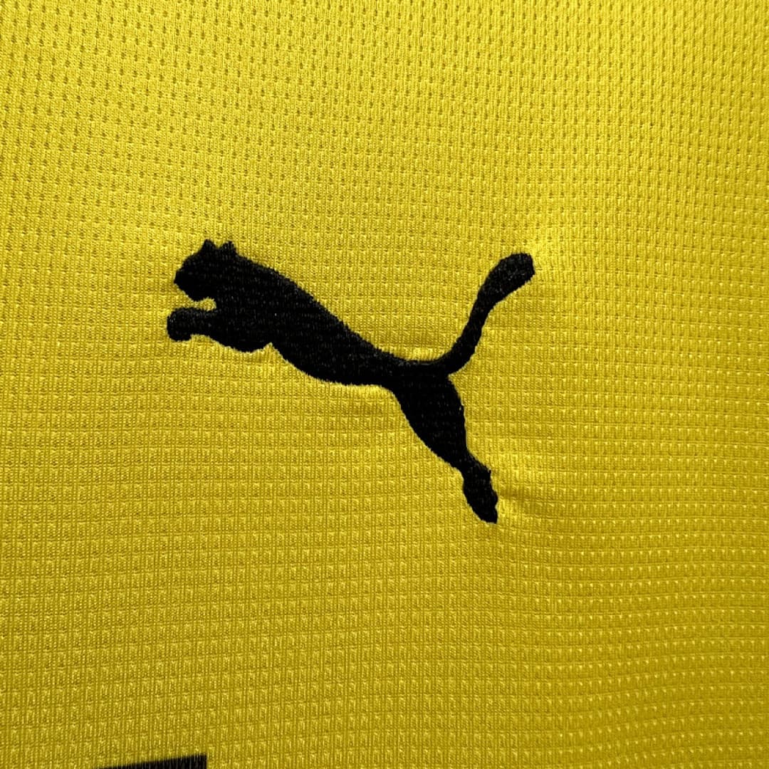 Borussia Dortmund Maillot Domicile miniature 7
