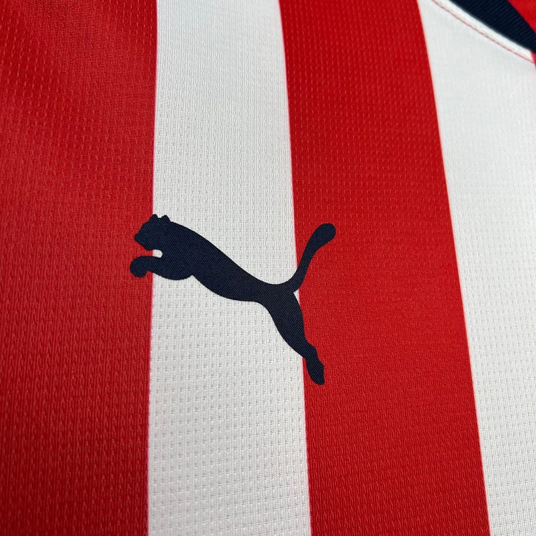 Chivas 2024-2025 Maillot Domicile miniature 10