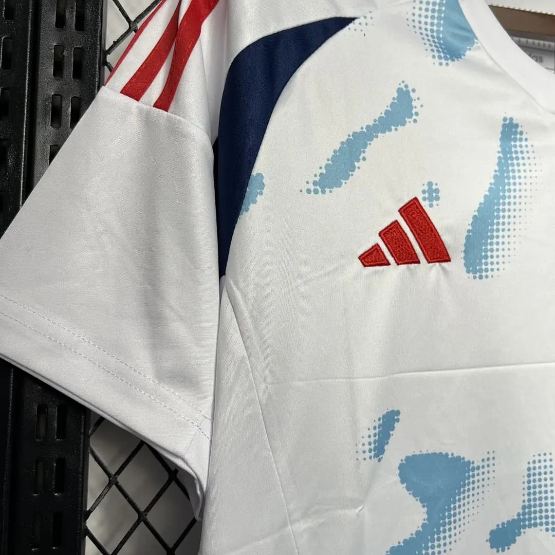 Costa Rica 2024-2025 Maillot Extérieur miniature 2