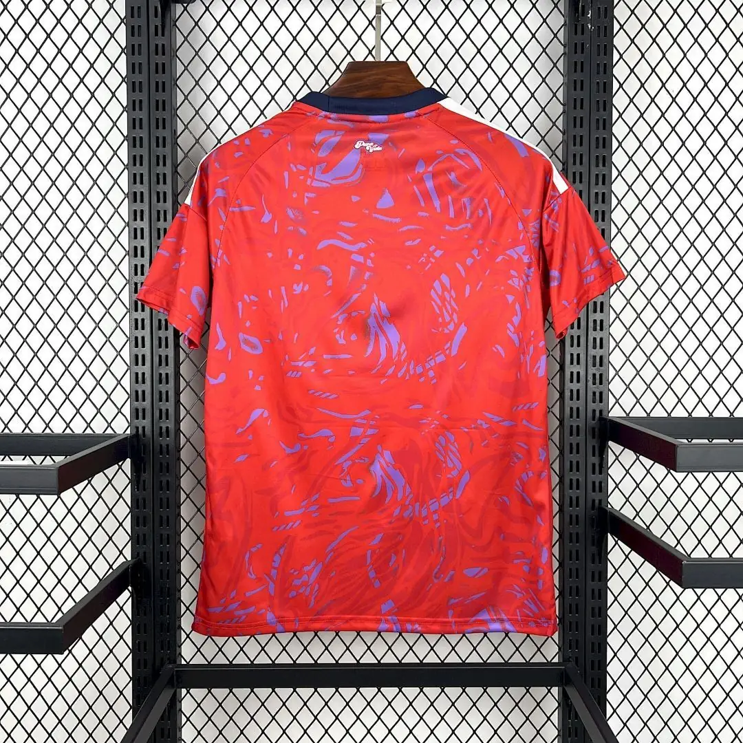 Costa Rica Maillot Domicile 2026 miniature 2