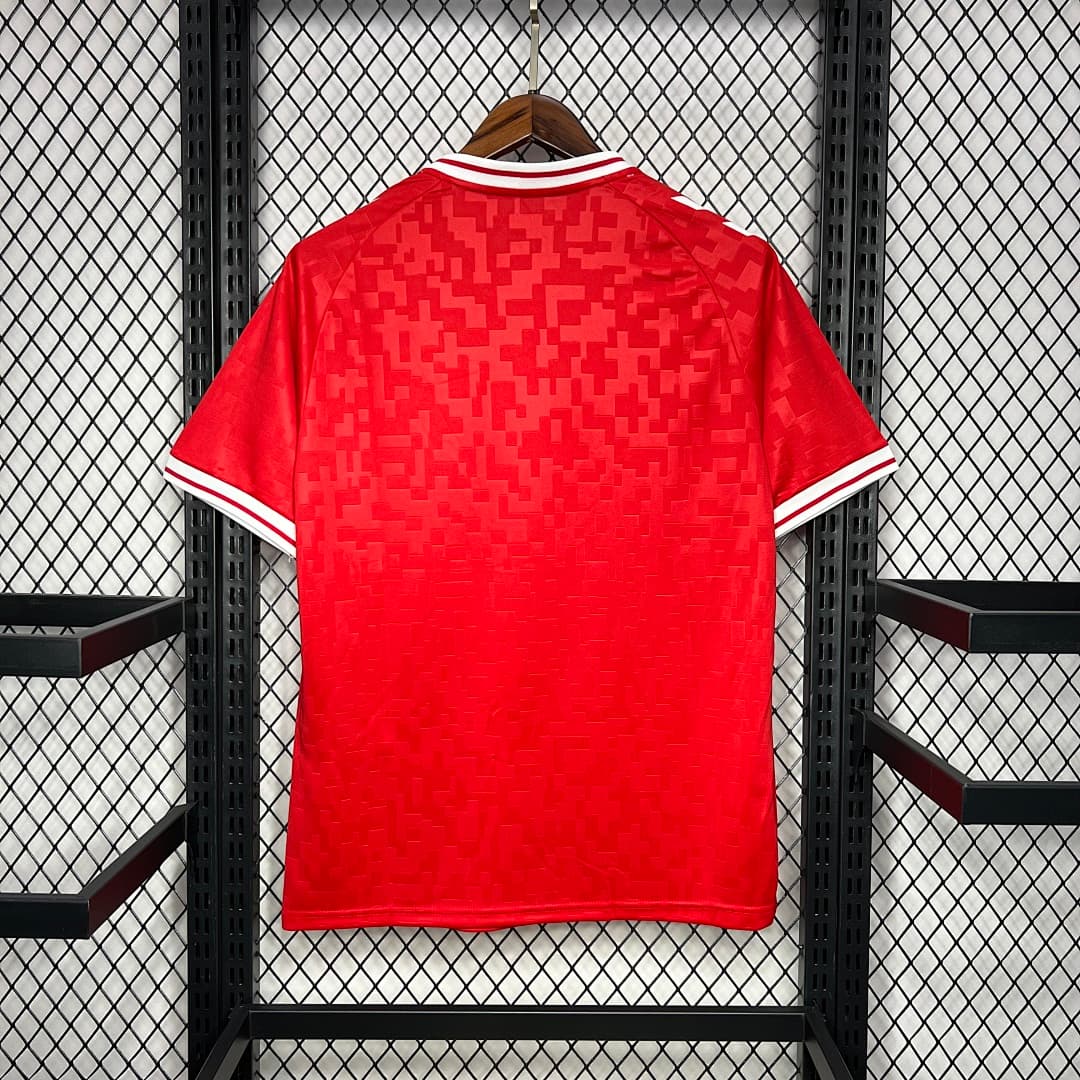 Denmark 2024-2025 Euro Maillot Domicile miniature 7