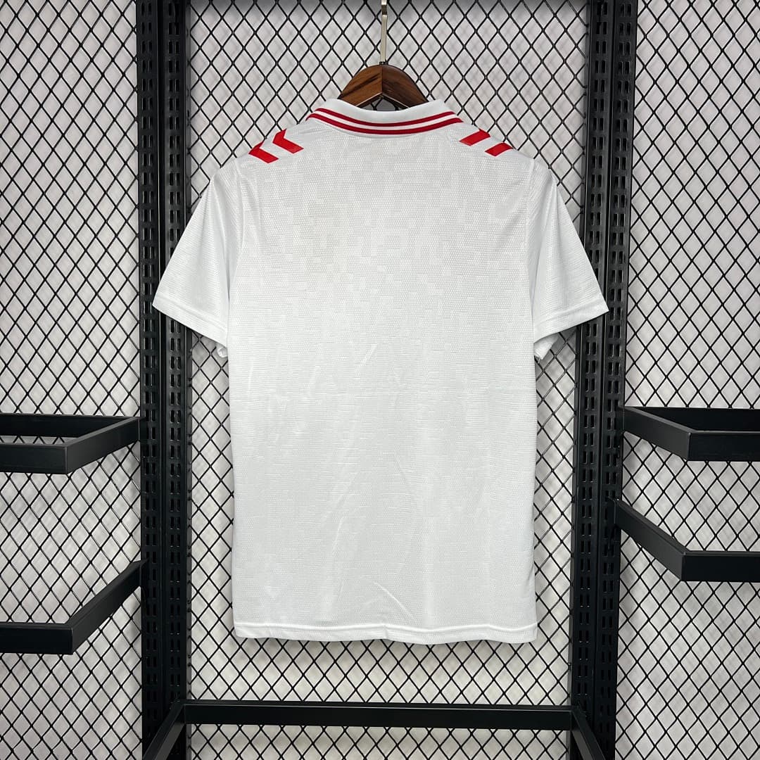 Denmark 2024-2025 Euro Maillot Extérieur miniature 6