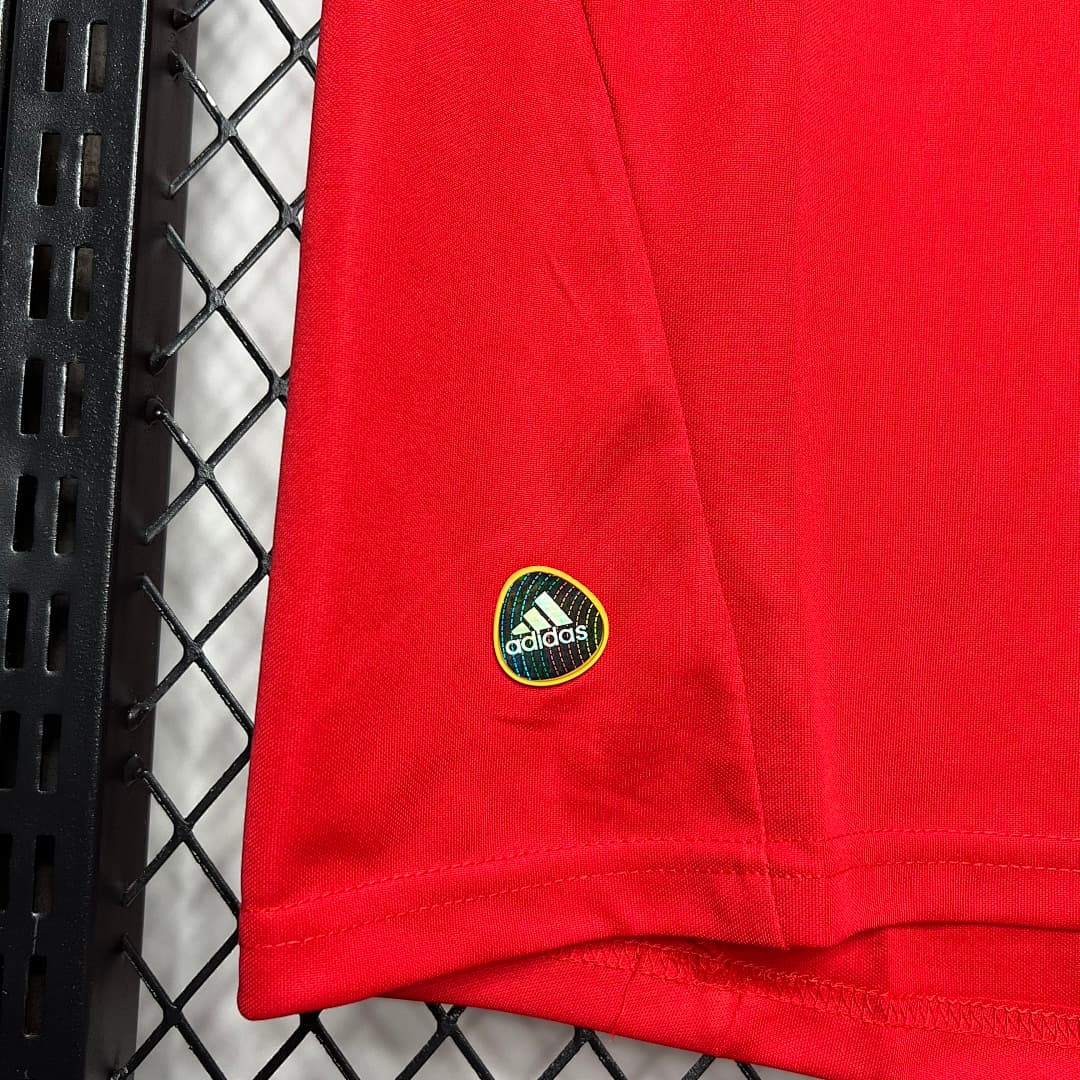Espagne Maillot Domicile Retro 2010 miniature 5