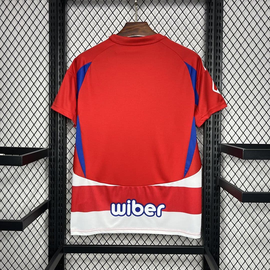Granada Cf 2024-2025 Maillot Domicile miniature 8