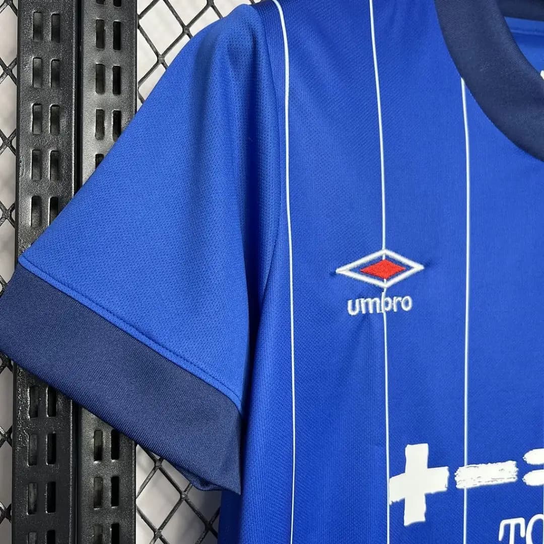 Ipswich Town F C 2024-2025 Maillot Domicile miniature 2