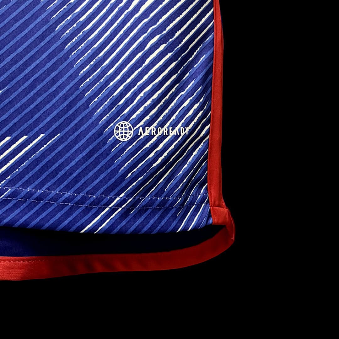 Japon Maillot Extérieur miniature 4