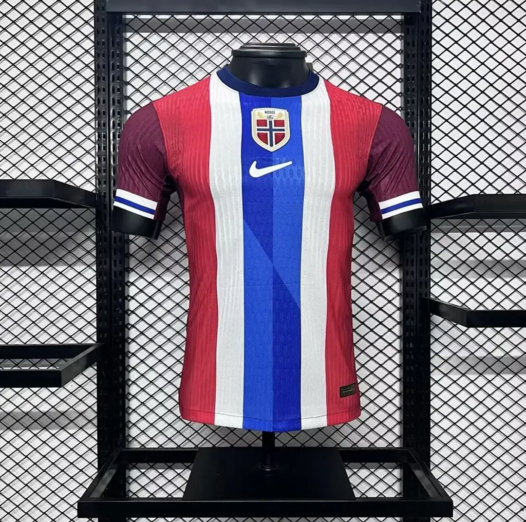 Norway 2024-2025 Maillot Domicile Version Joueur