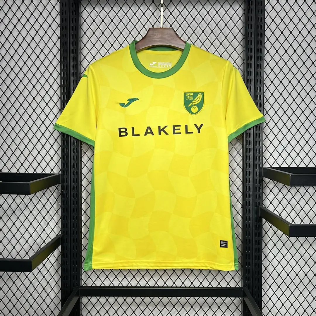 Norwich City F C 2024-2025 Maillot Domicile miniature 2