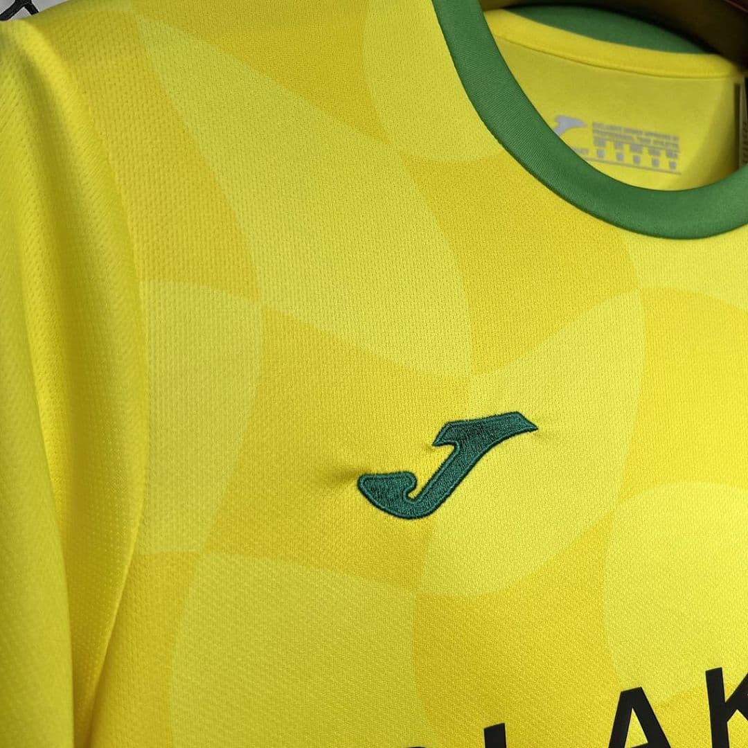 Norwich City F C 2024-2025 Maillot Domicile miniature 3