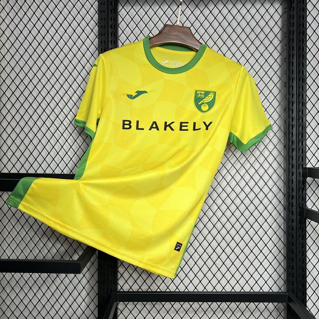 Norwich City F C 2024-2025 Maillot Domicile miniature 6