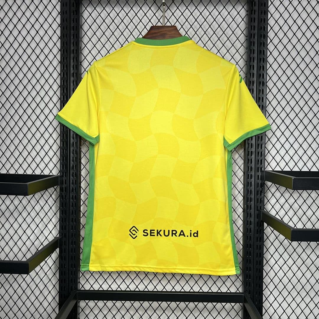 Norwich City F C 2024-2025 Maillot Domicile miniature 7