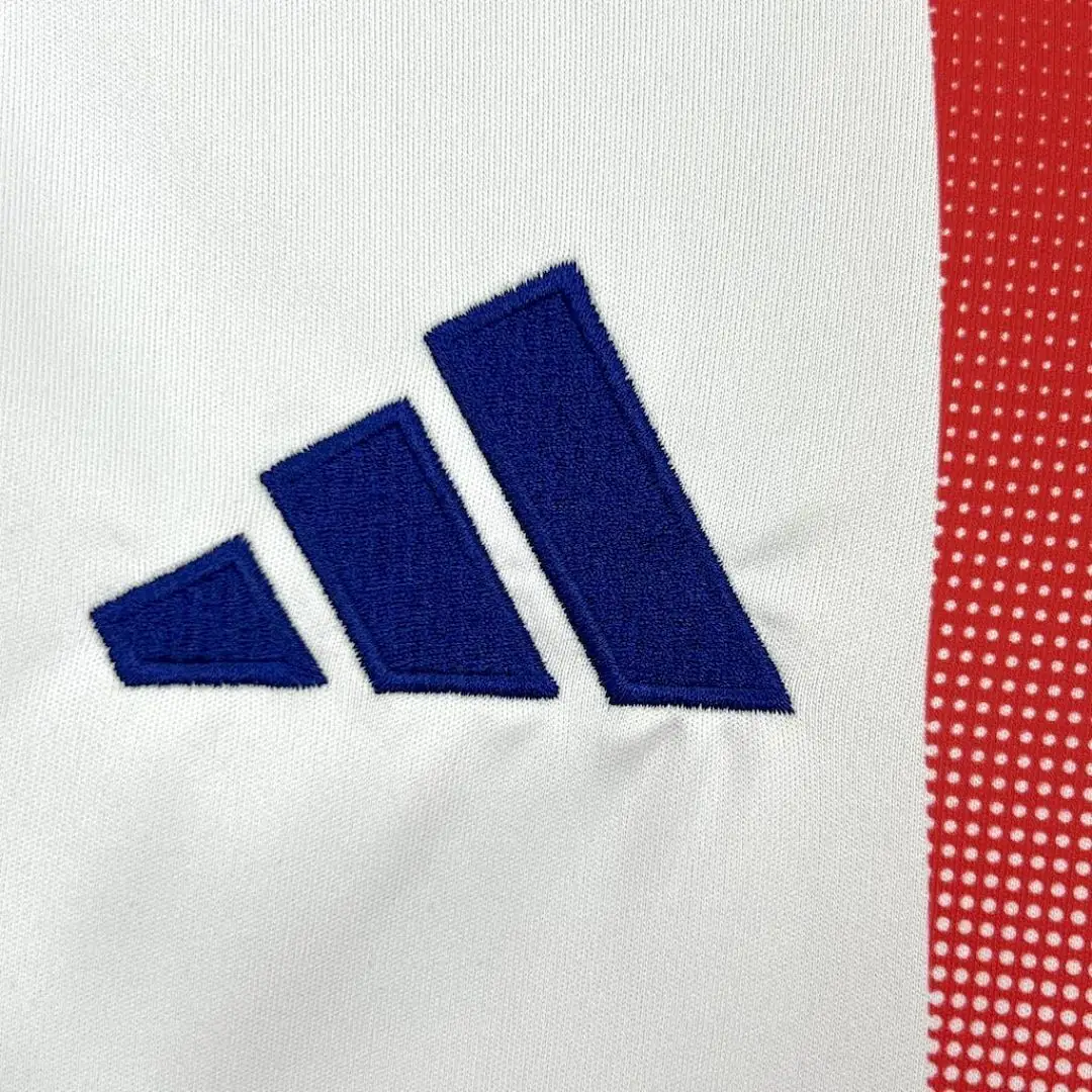 Olympique Lyonnais 2024-2025 Maillot Domicile miniature 2