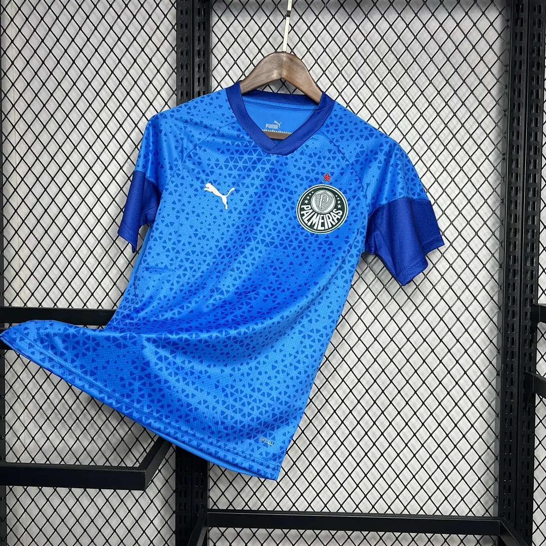 Palmeiras 2024-2025 Blue Gardien Domicile