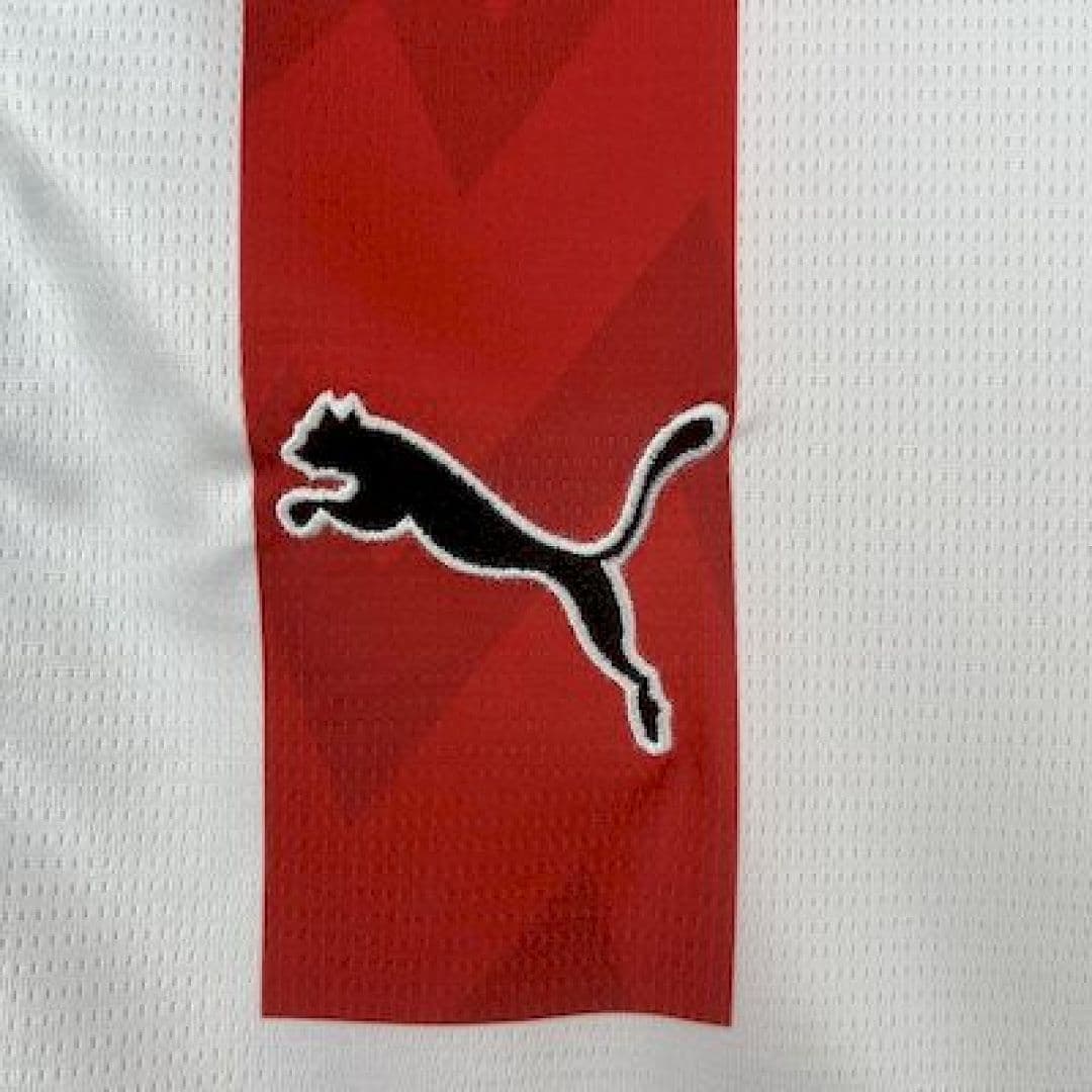 Psv Eindhoven 2025-2026 Maillot Domicile miniature 3