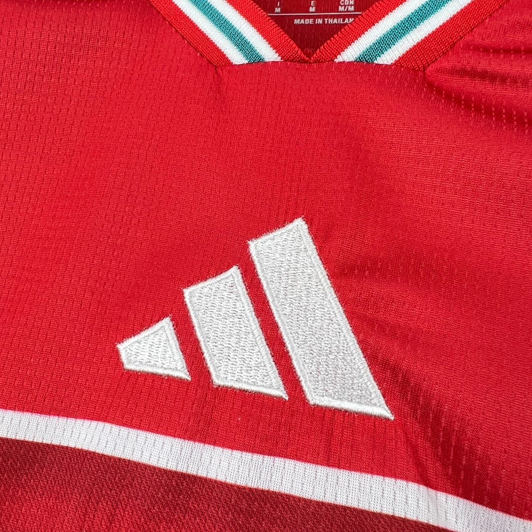 Wales World Cup Maillot Domicile 2026 miniature 4