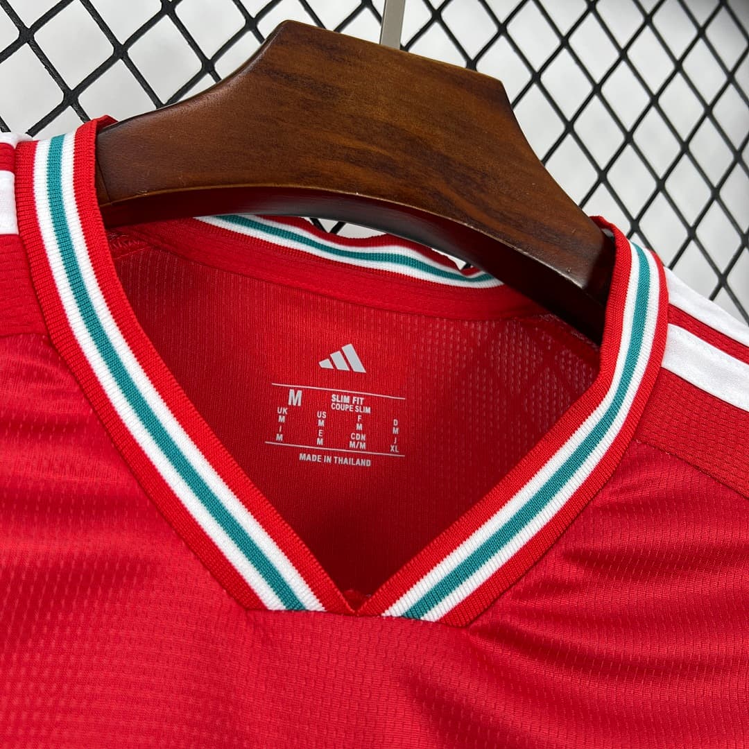 Wales World Cup Maillot Domicile 2026 miniature 7