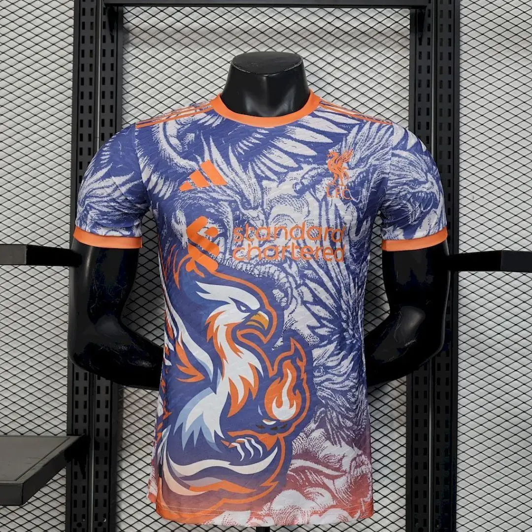 Liv 2025-2026 Grey Special Edition Maillot Domicile Version Joueur Edition Speciale