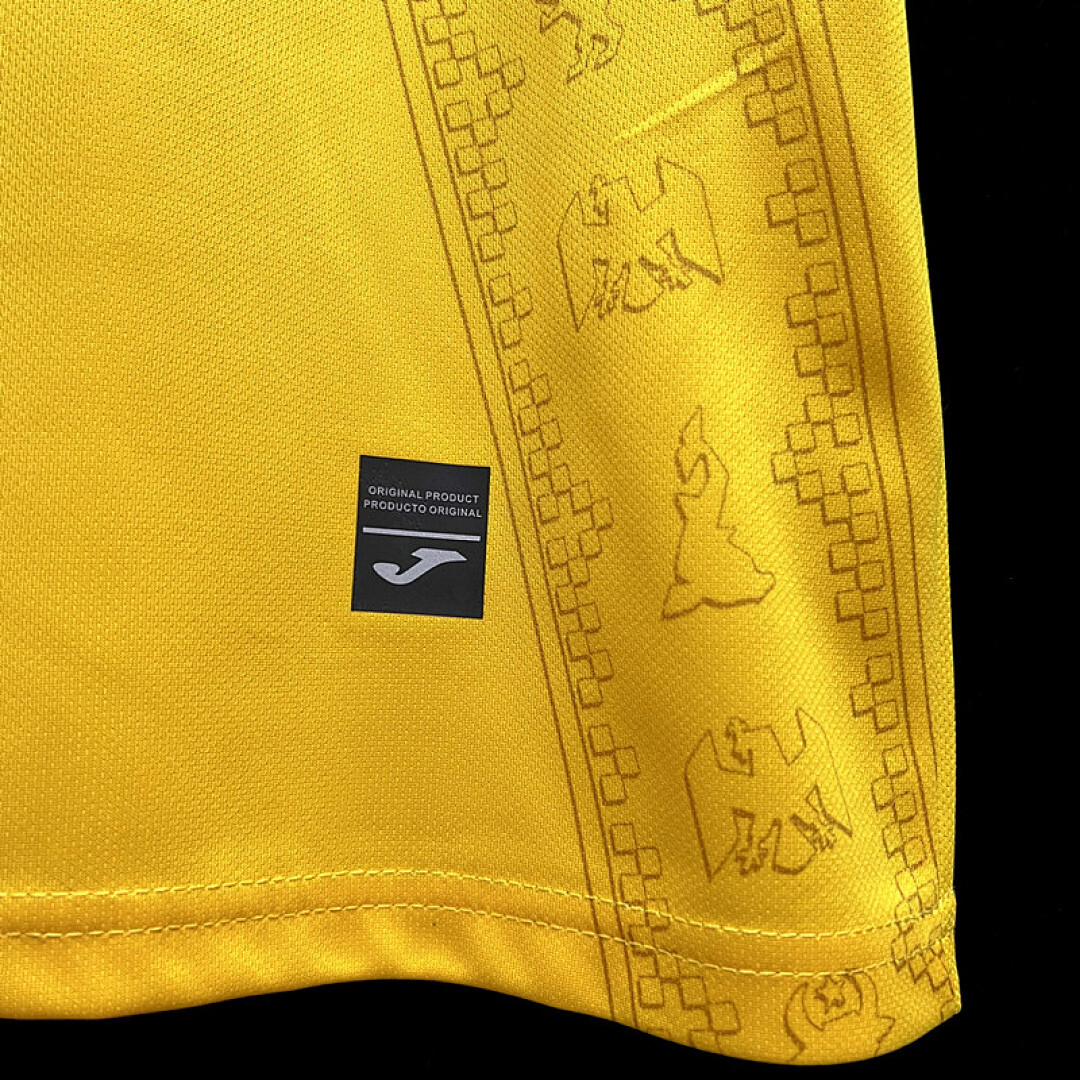 2324 Romania Maillot Domicile miniature 6