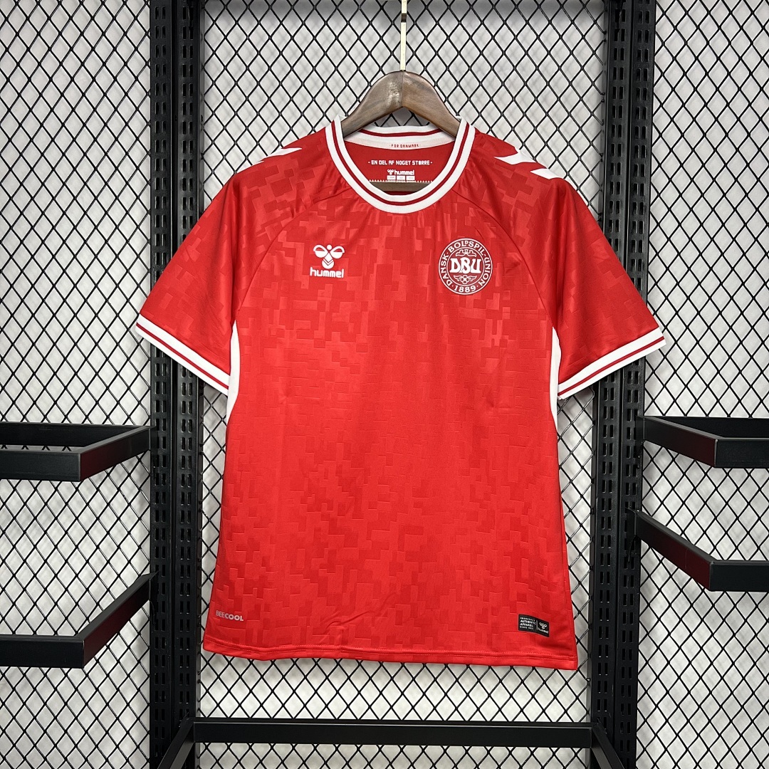 Denmark 2024-2025 Euro Maillot Domicile miniature 2