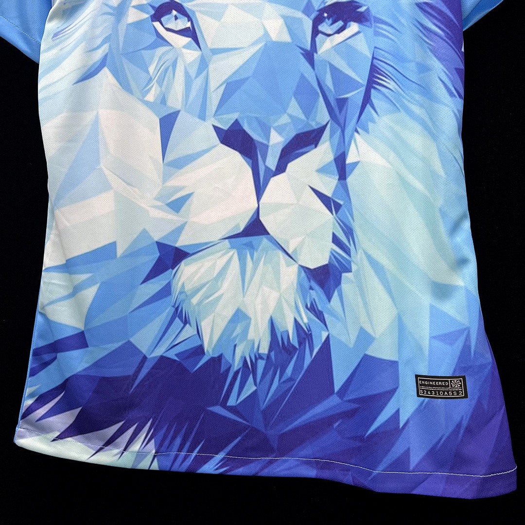 Pays-Bas Maillot Domicile Edition Speciale miniature 5