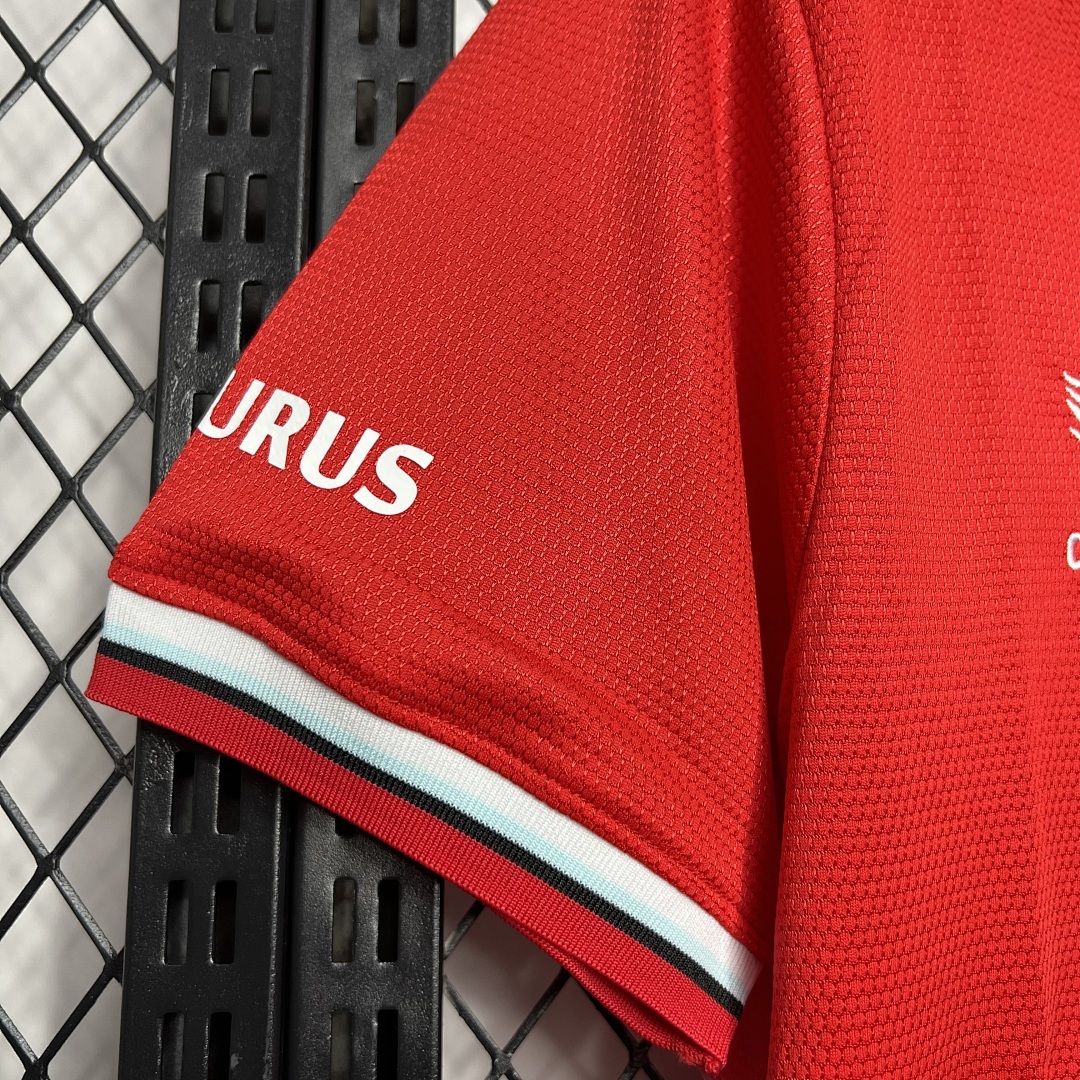 Fc Twente 2024-2025 Maillot Domicile miniature 6