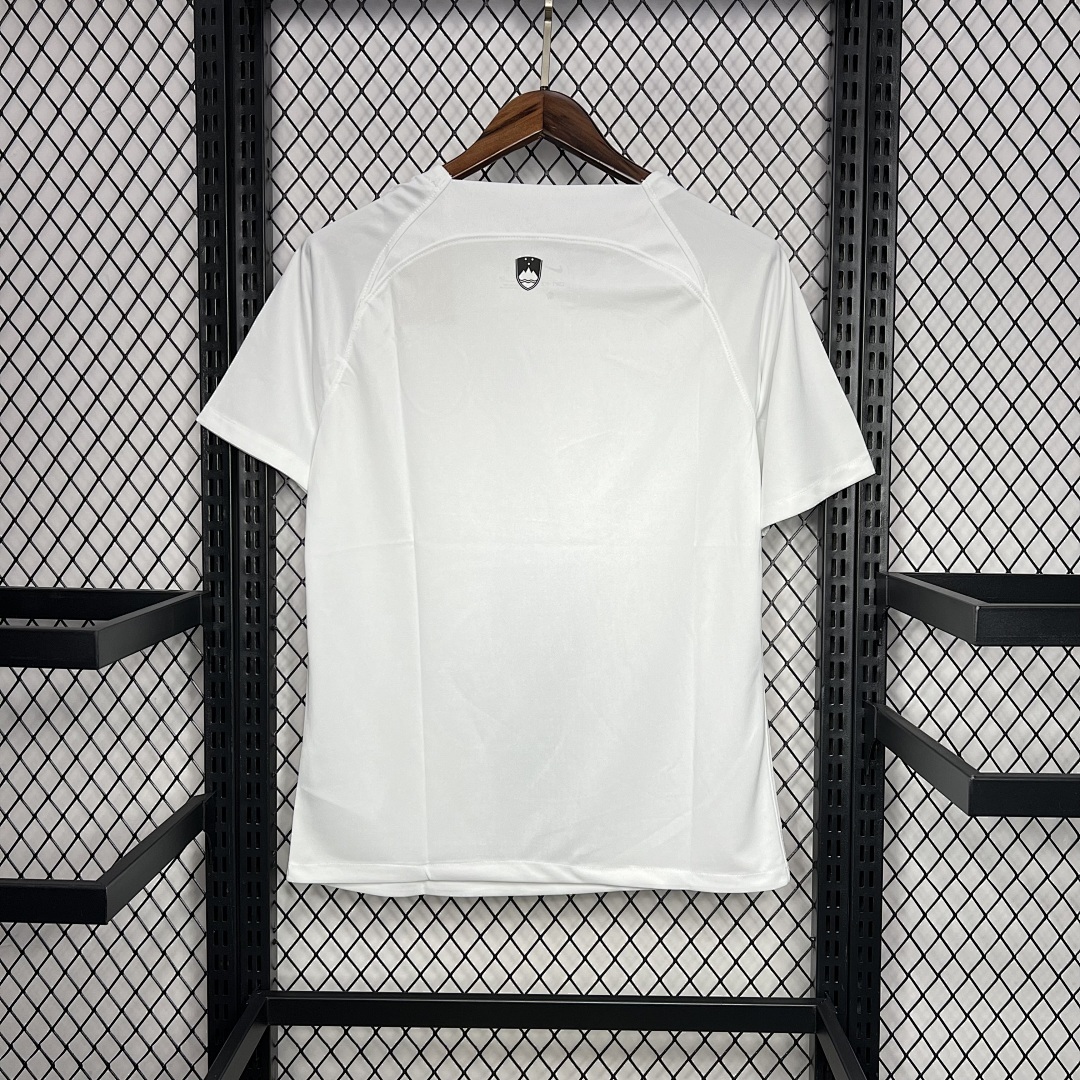 Slovenia 2024-2025 Euro Maillot Exterieur miniature 7