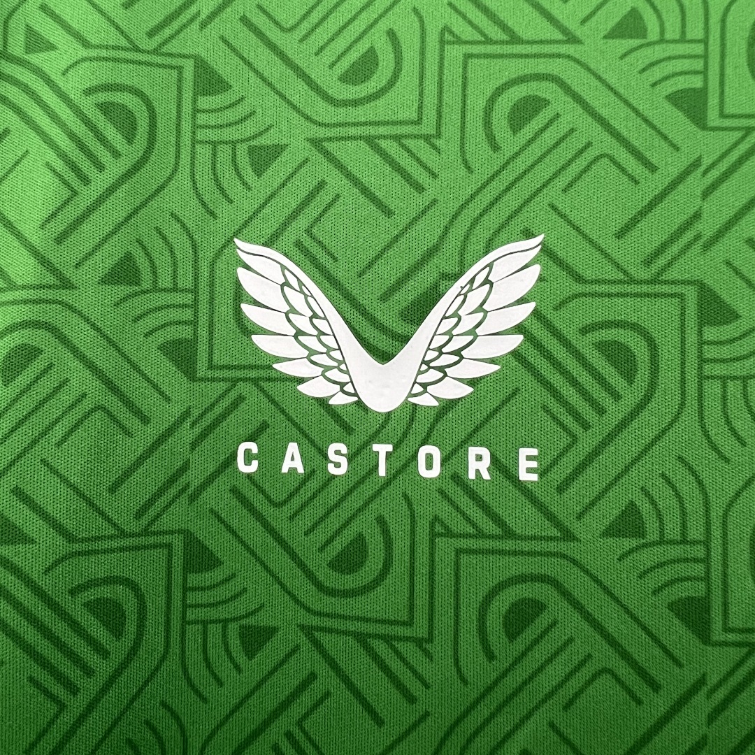 2425 Ireland Maillot Domicile miniature 7