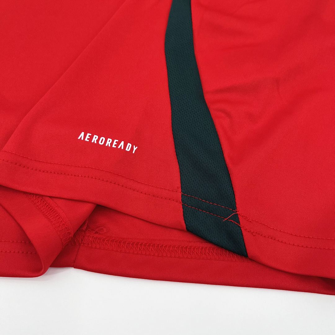 Hungary 2024-2025 Euro Maillot Domicile miniature 2