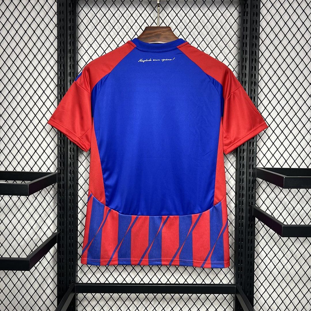 Hajduk Split Hnk 2024-2025 Maillot Domicile miniature 7