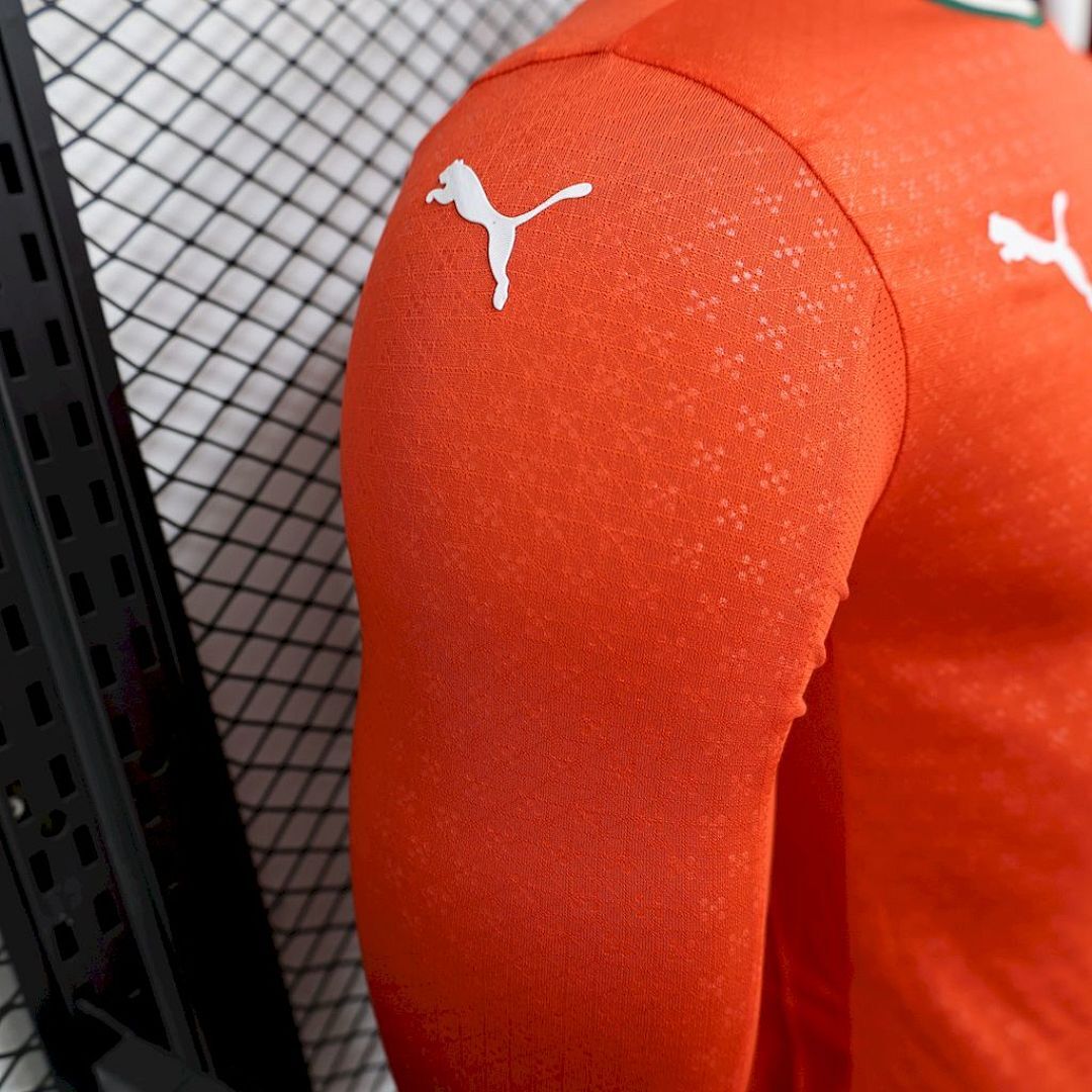 Portugal Maillot Domicile Version Joueur Manches Longues miniature 2