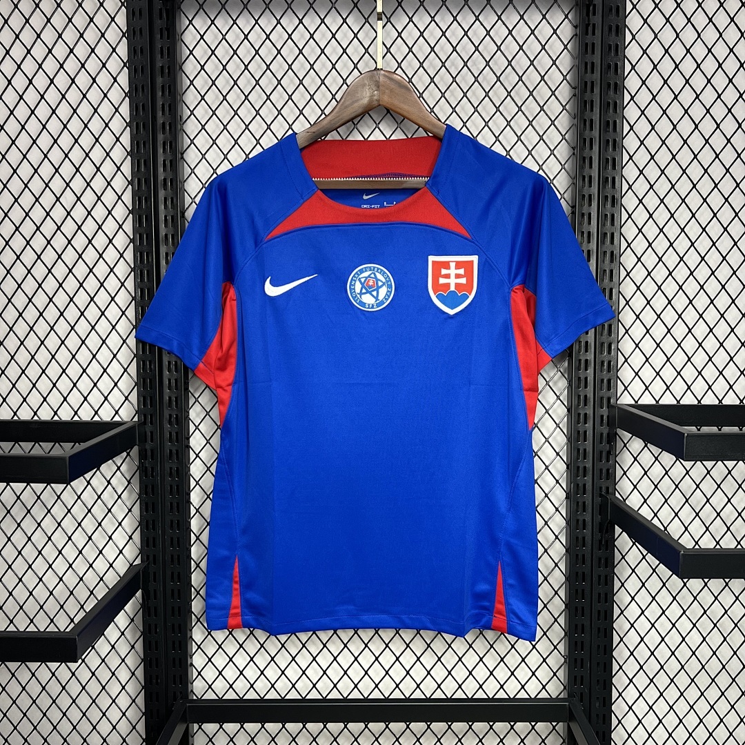 Slovakia 2024-2025 Euro Maillot Domicile miniature 2