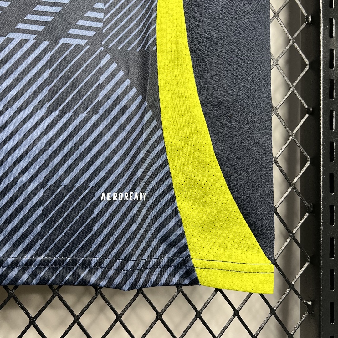 Scotland 2024-2025 Euro Maillot Domicile miniature 5