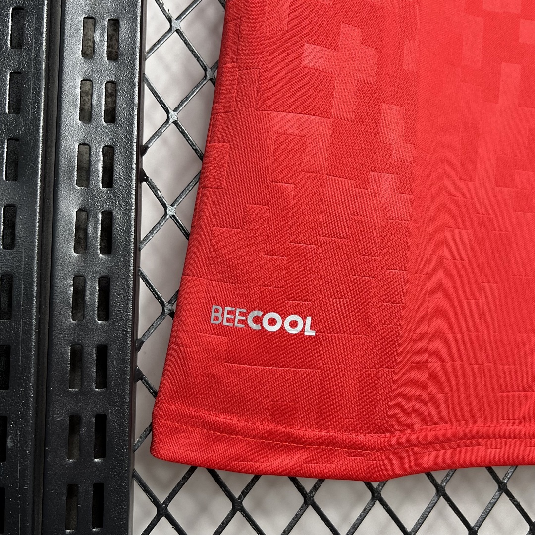 Denmark 2024-2025 Euro Maillot Domicile miniature 6