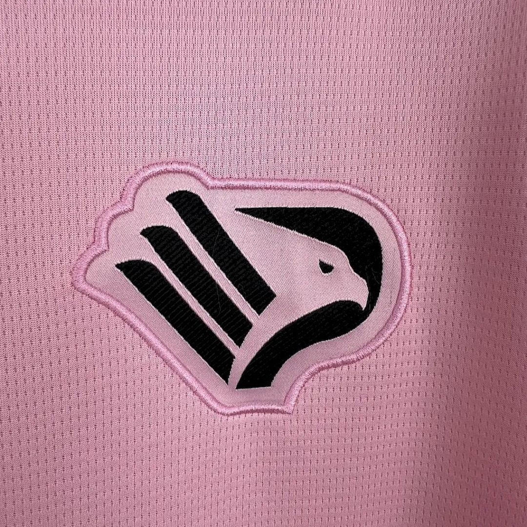 Palermo F C 2024-2025 Maillot Domicile miniature 12