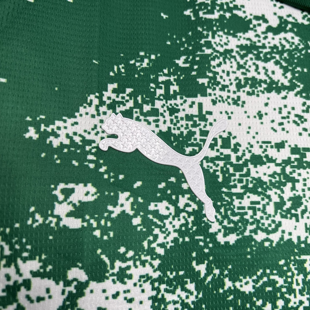 Palmeiras 2024-2025 Special Edition White And Green Maillot Domicile Edition Speciale miniature 2