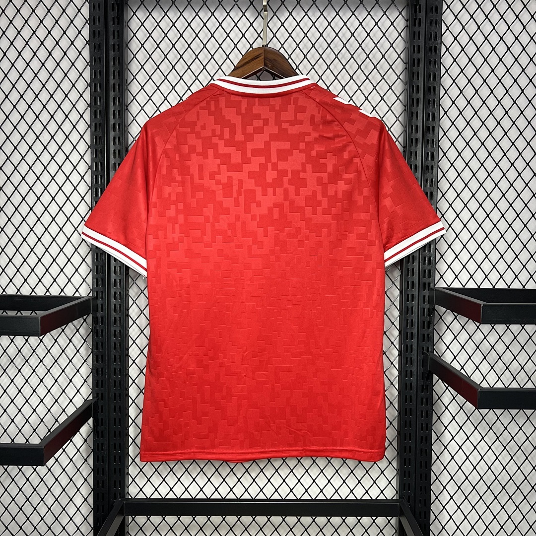 Denmark 2024-2025 Euro Maillot Domicile miniature 7