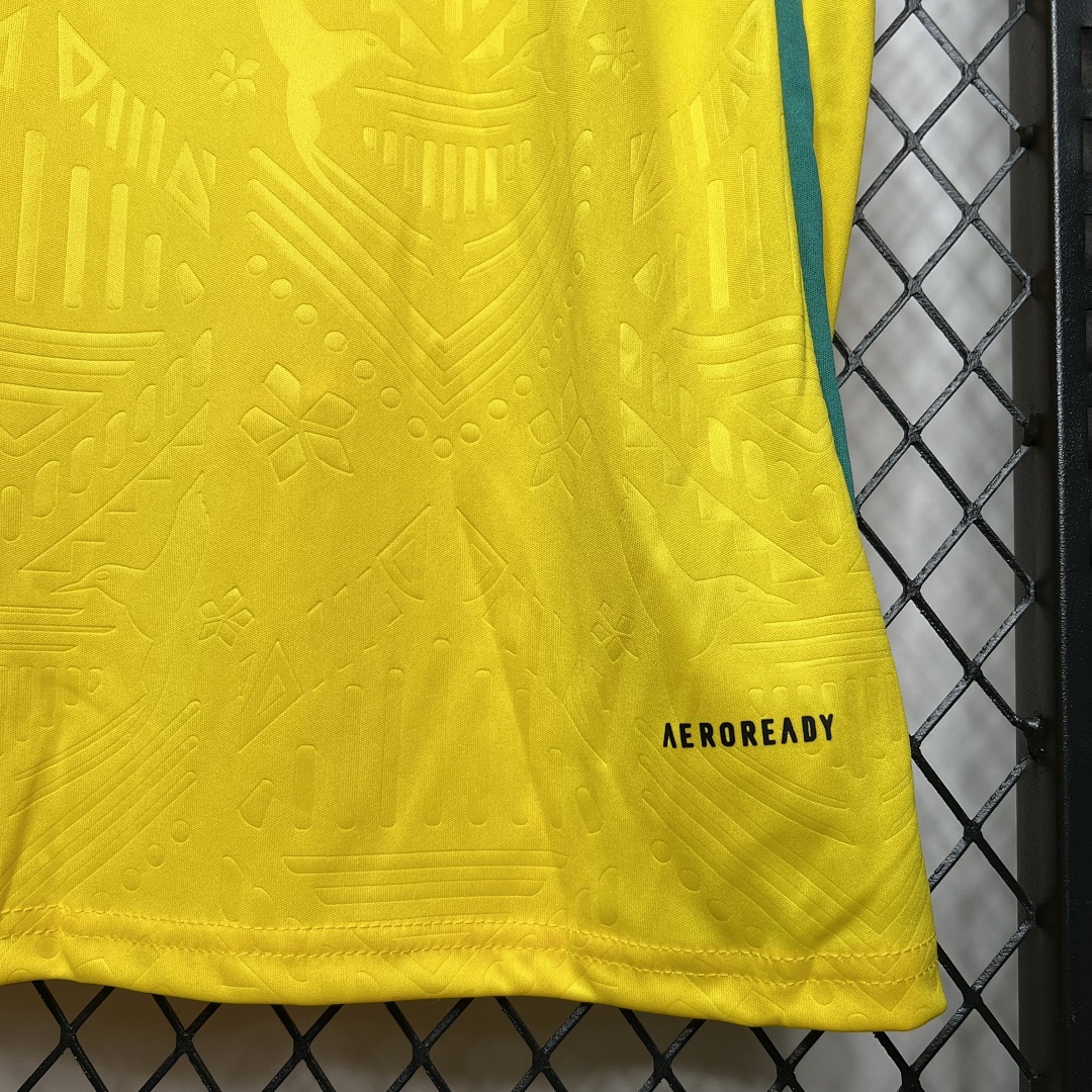 Jamaica 2024-2025 Maillot Domicile miniature 5