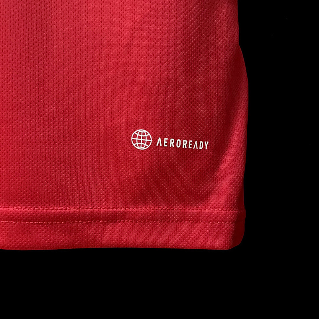 Arsenal Maillot Domicile miniature 6