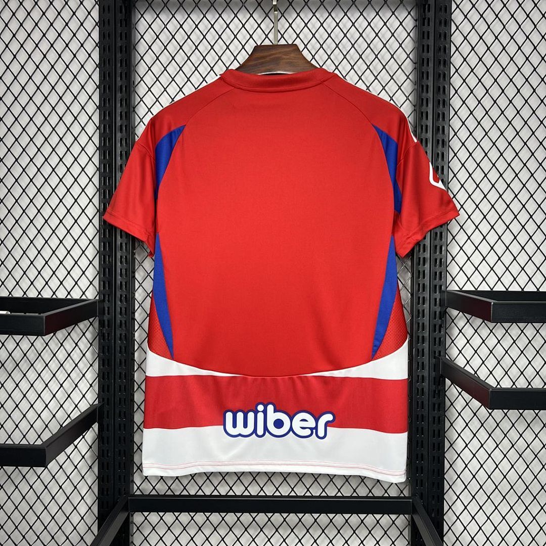 Granada Cf 2024-2025 Maillot Domicile miniature 8