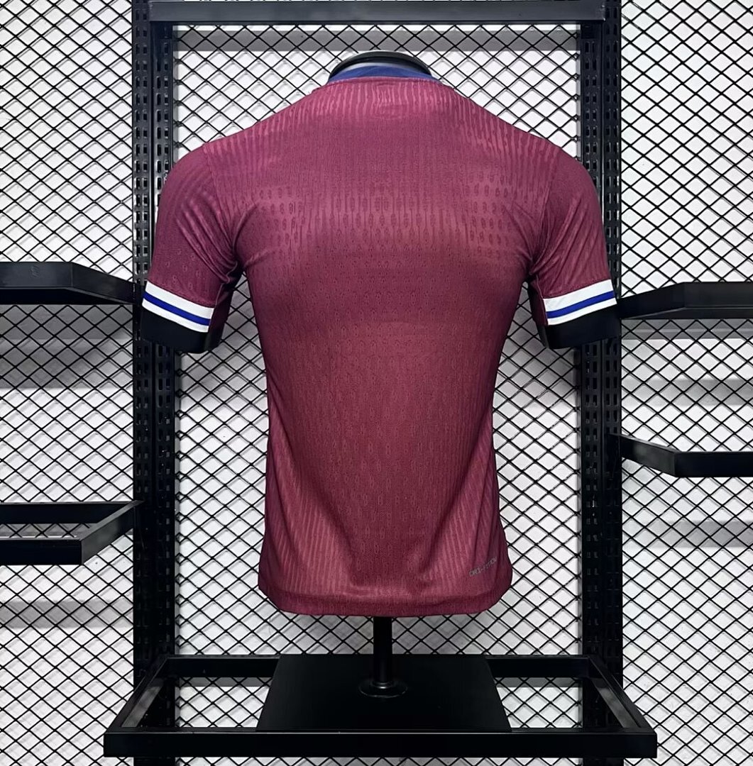 Norway 2024-2025 Maillot Domicile Version Joueur miniature 2