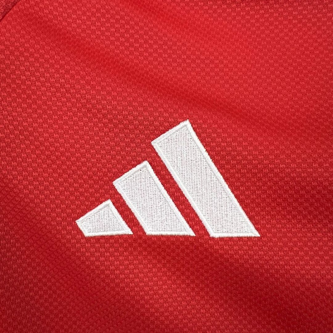 Benfica Maillot Domicile Manches Longues miniature 3