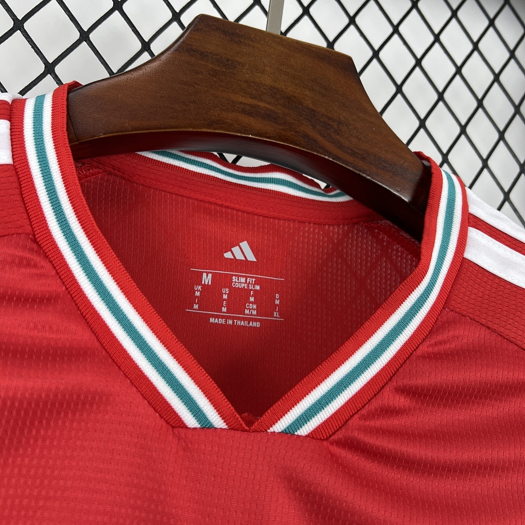 Wales World Cup Maillot Domicile 2026 miniature 8