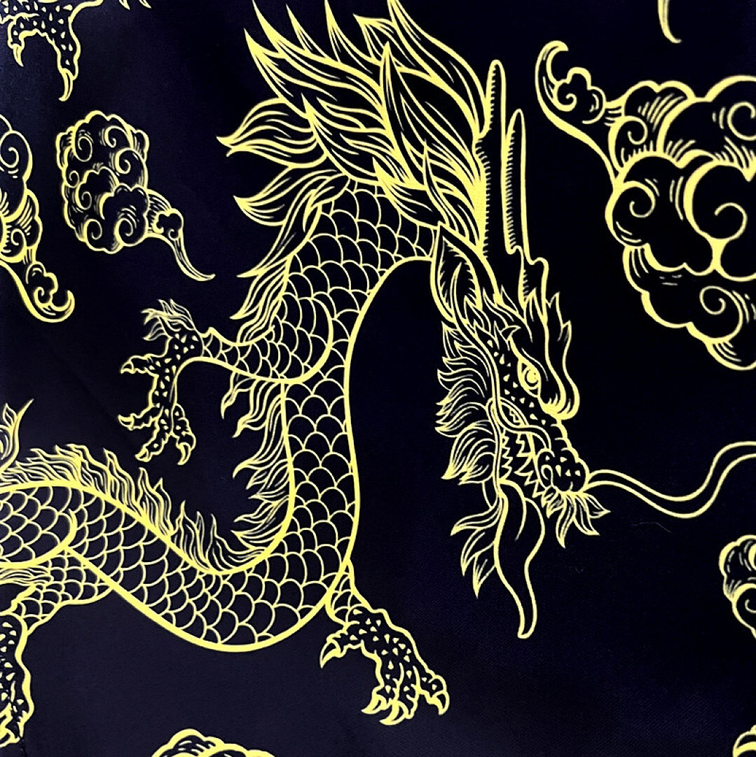 2324 Chinese Dragon S Xxl Maillot Domicile miniature 2