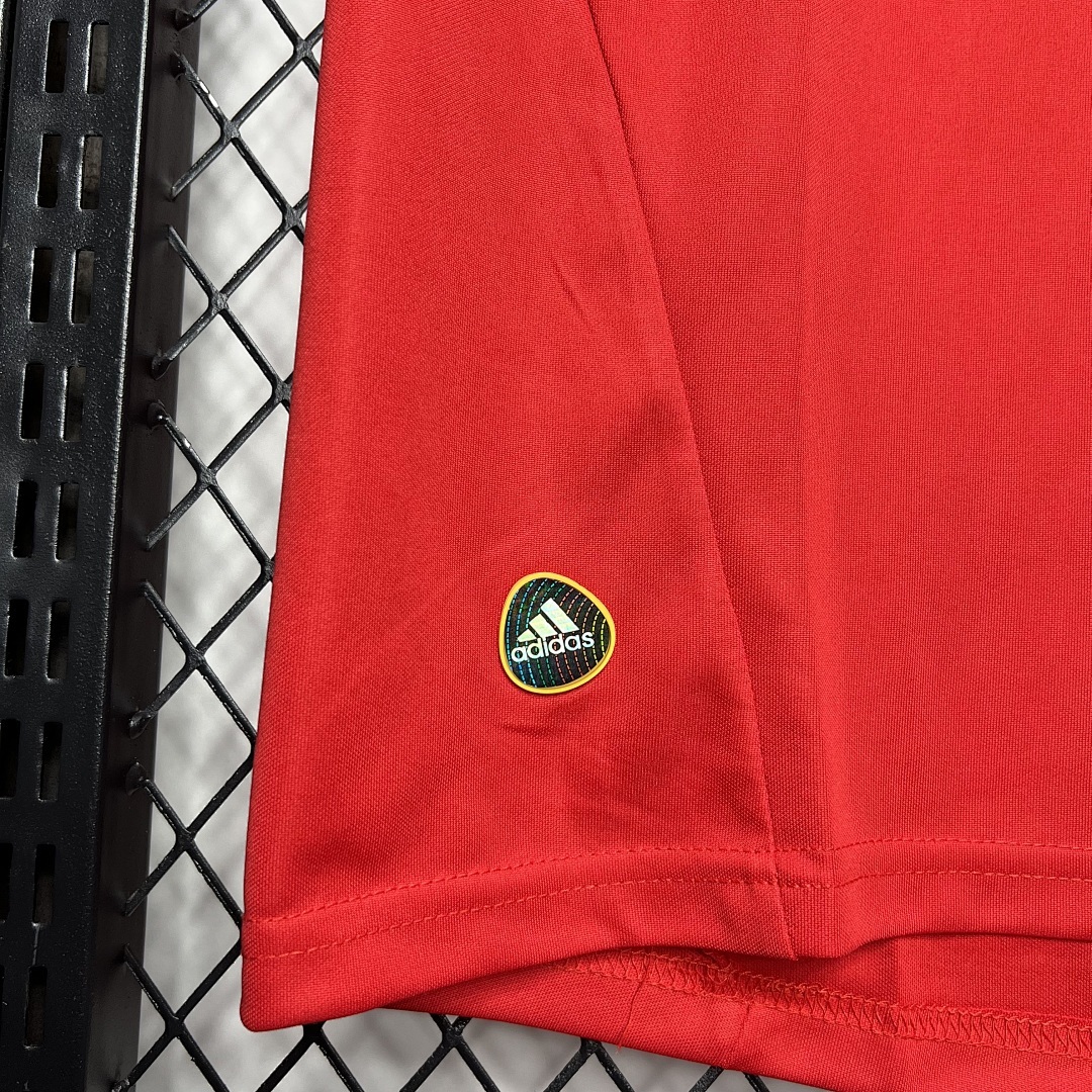 Espagne Maillot Domicile Retro 2010 miniature 6