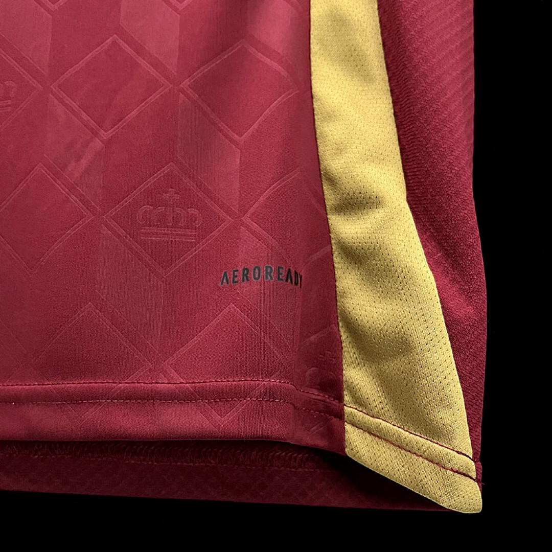 Belgique Maillot Domicile miniature 4