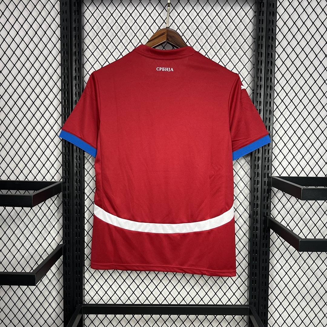 Serbia 2024-2025 Euro Maillot Domicile miniature 6
