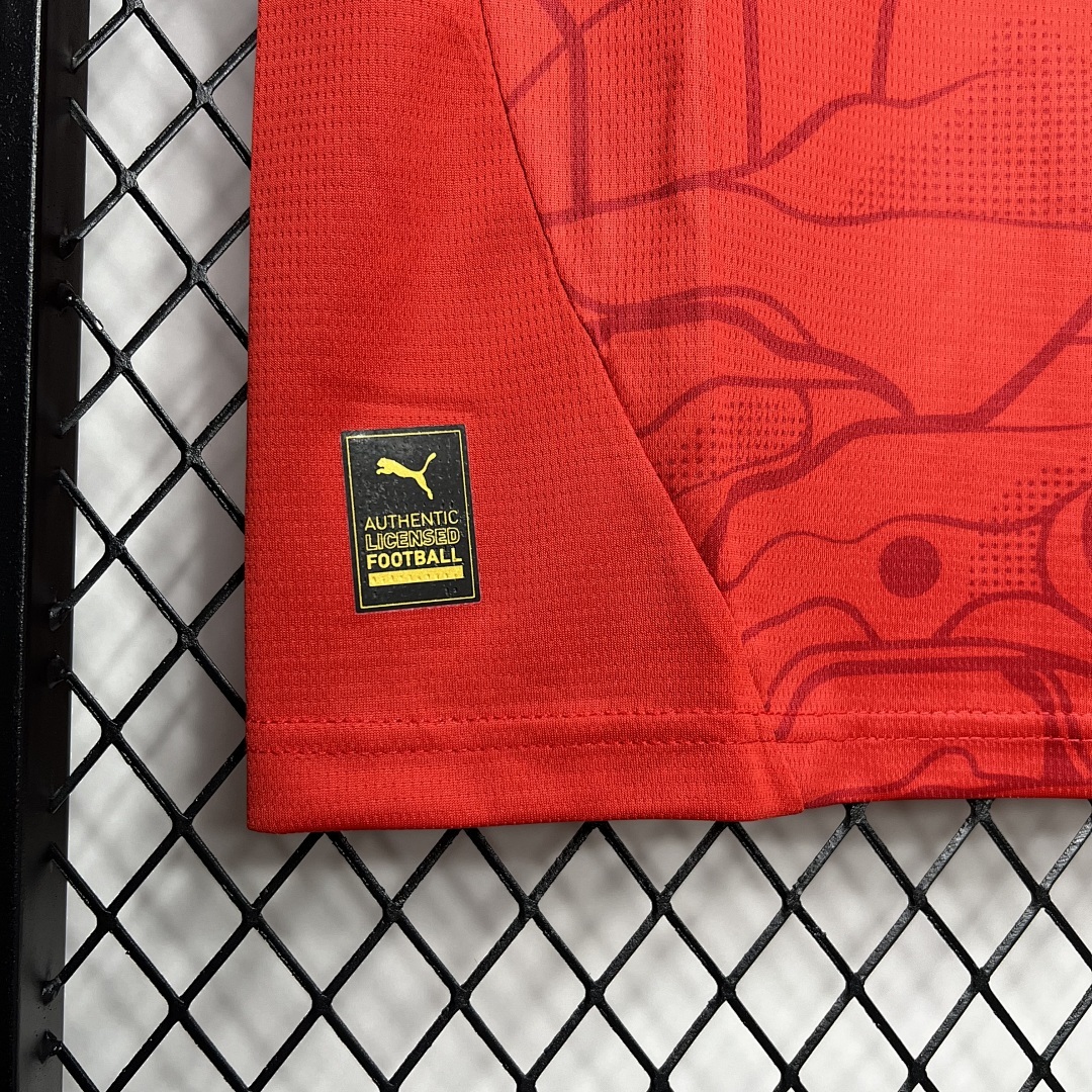 Austria 2024-2025 Euro Maillot Domicile miniature 5